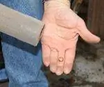 Пылесос с чулком на шланге.