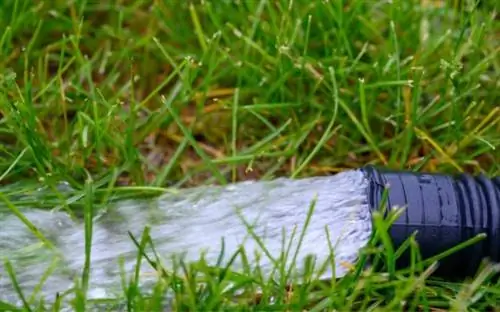 Жилой водоотливной насос сбрасывает воду в траву с конца гибкого черного шланга