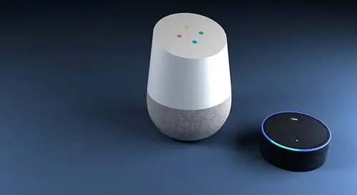 Цифровые помощники Google Home и Amazon Echo, сидящие рядом Цифровые помощники Google Home и Amazon Echo, сидящие рядом