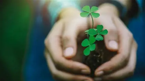 Эти экологичные улучшения дома сэкономят энергию и деньги