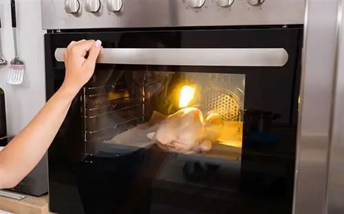 Частично приготовленная индейка в сломанной духовке