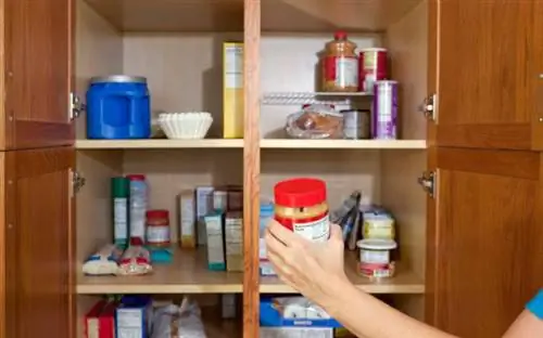 Крупным планом женская рука достает банку арахисового масла из буфета.