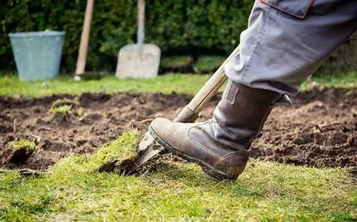 Мужчина вырывает корни на заднем дворе лопатой