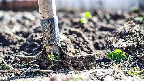 5 советов по весенней уборке вашего сада