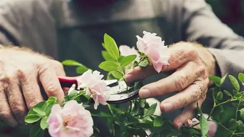 обрезка растений