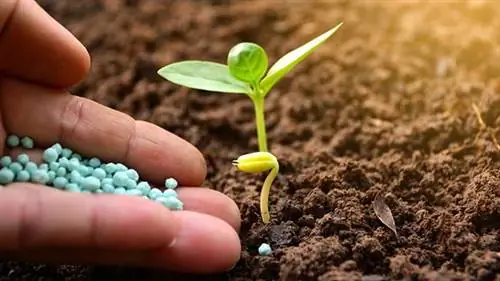 удобрять растение