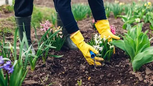 6 советов по подготовке сада к весне