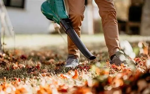 Воздуходувка осенью перемещает листья в место сбора