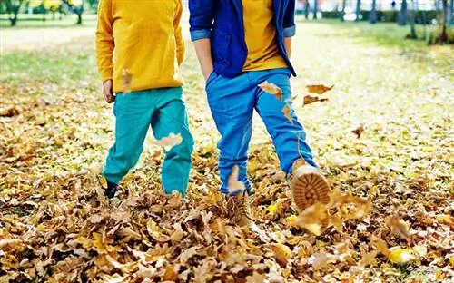 Два мальчика топают листья осенью после того, как их мать взяла перерыв на телефон