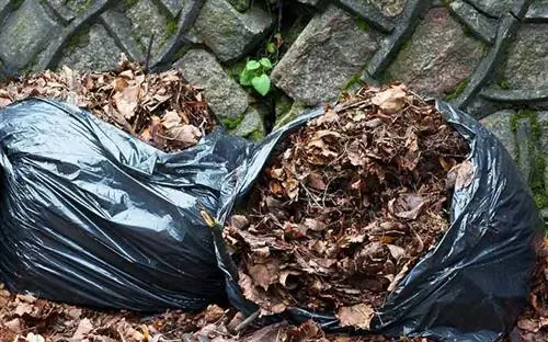 Листья в мешках после измельчения и мульчирования
