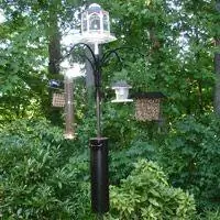 Белка-кормушка для птиц