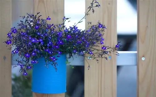 Цветочный горшок с фиолетовыми цветами