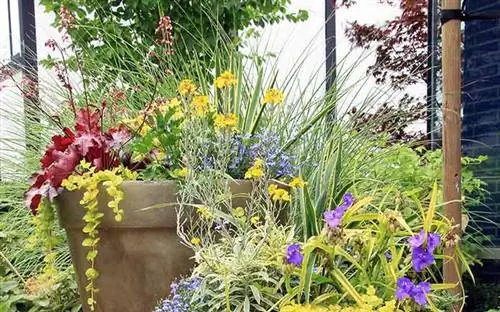 Цветочный горшок с травой и шипами