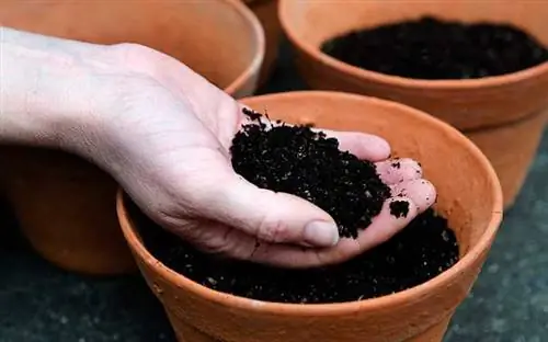 Терракотовый горшок с почвой