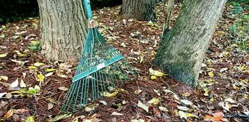 сгребание листьев