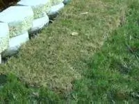 Новый дерн уложен рядом с подпорной стеной.