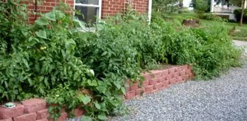 Приподнятая кровать из штабелируемых блоков подпорной стены