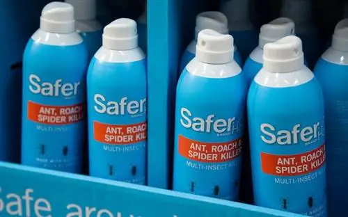 Safer Brand Safer Home Убийца муравьев, тараканов и пауков - 13,25 унций