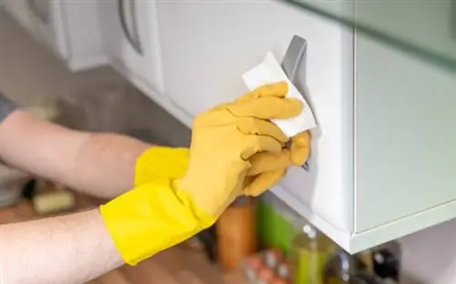 Рука в перчатке вытирает ручку кухонного шкафа Рука в перчатке вытирает ручку кухонного шкафа
