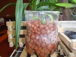 картина картина
