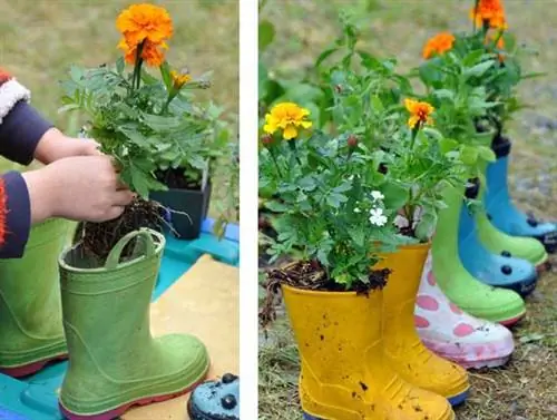 Растение в резиновых сапогах