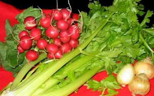 Календарь урожая на ноябрь