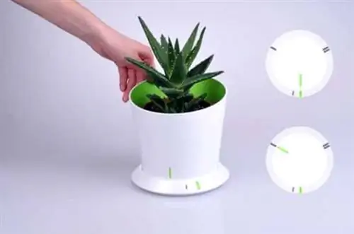 Проверить влажность основания