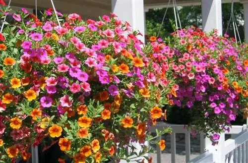 висячий сад