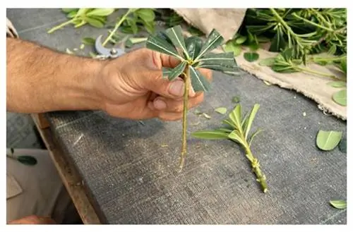 Перелистывать листы