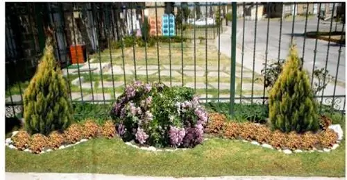 Как посадить садовые кустарники