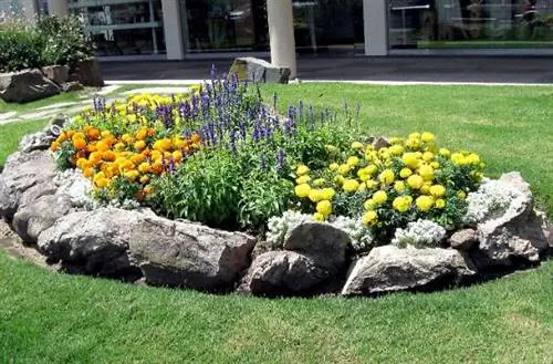 цветы сорванные камнями