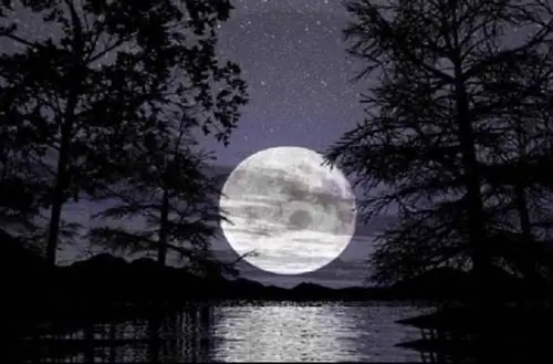 Влияние Луны на растения II