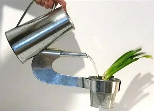 Вы поливаете или наливаете воду? Орошение, ключевые вопросы и рекомендации