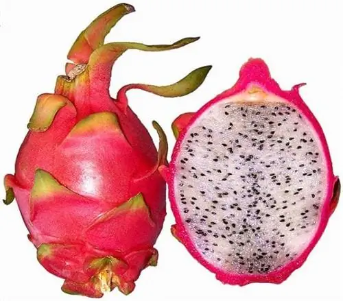 Фрукты Фрукты