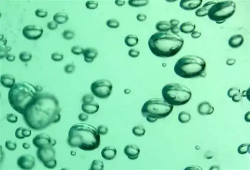 гелевая вода гелевая вода