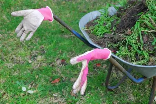 Лупа в садовых перчатках