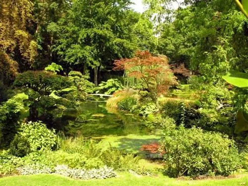 Уход за садом летом