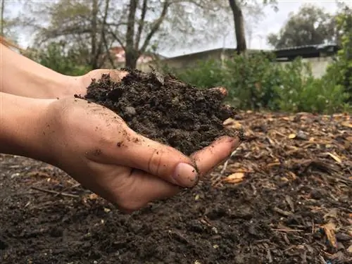 Виды натуральных удобрений для плодородной почвы