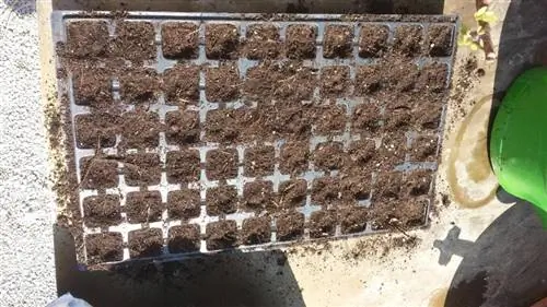 заполнить субстратом