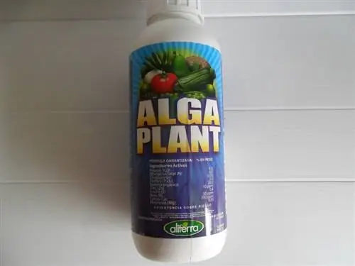 Натуральные удобрения на основе водорослей