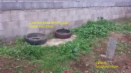 площадь стены