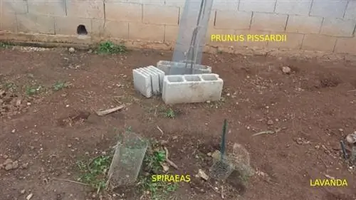 оконная_зона