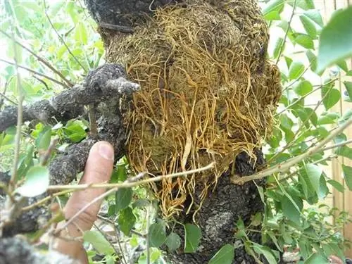 наслоение наслоение