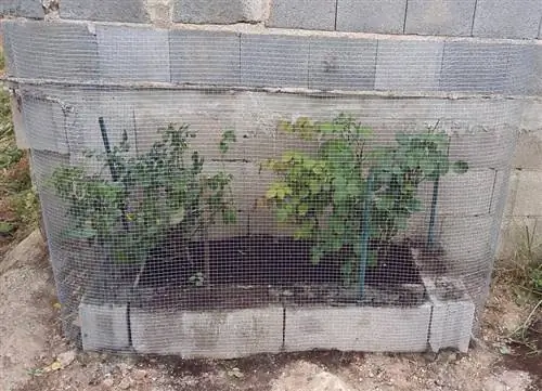 Металлическая сетка в горшке