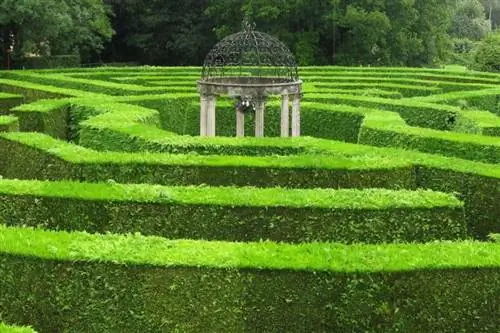 7 самых красивых лабиринтов в мире