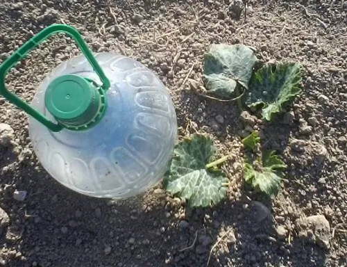 КонденсКомпрессор