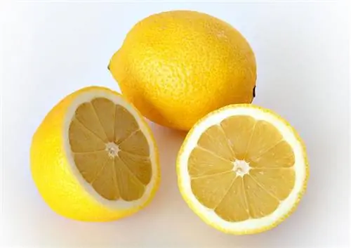 Лимоны