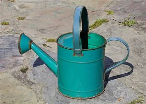 Лейка