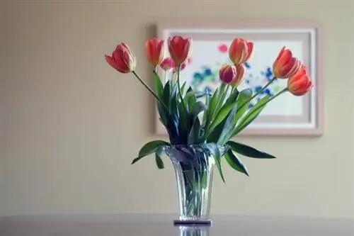 цветы в вазе