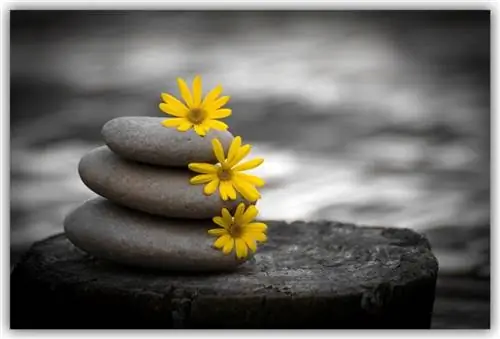 весенние камни